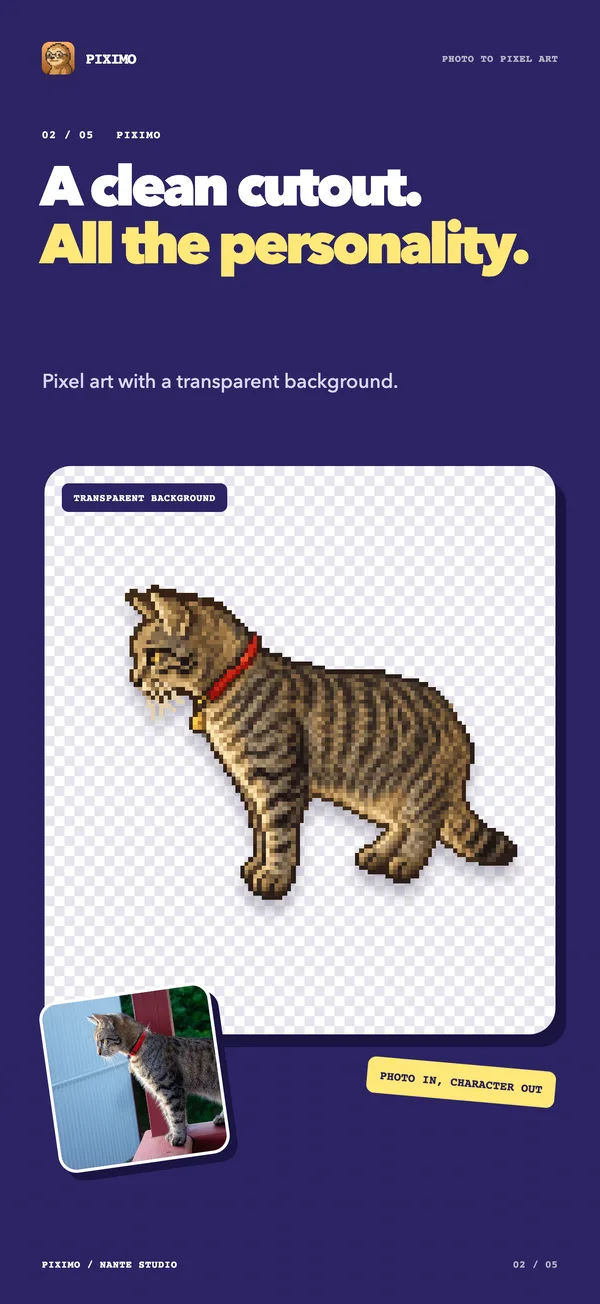 A pixel cat on a transparent background, with the original photo