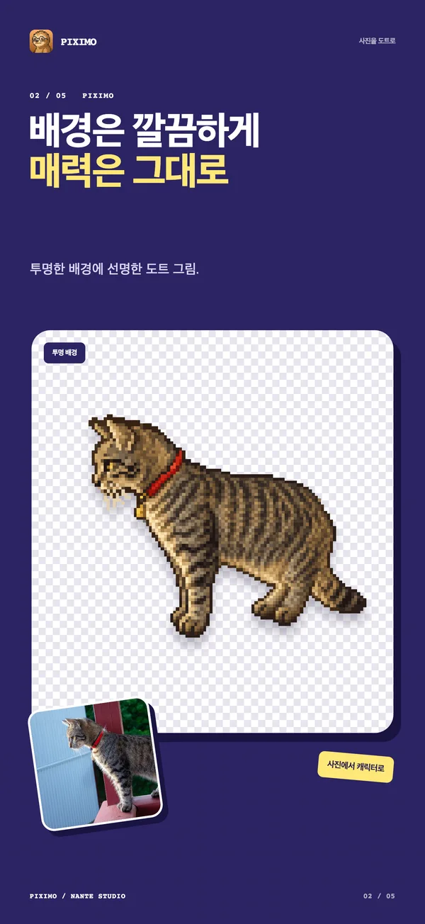 배경 없는 도트 고양이와 원본 사진