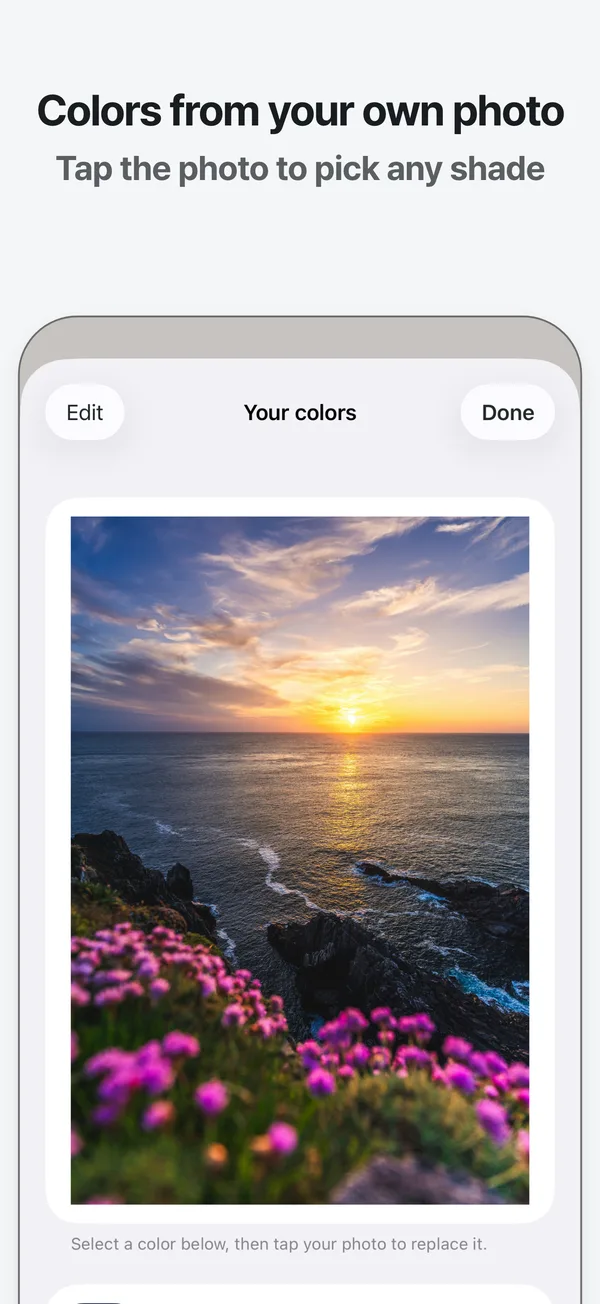 The color picker: five swatches from the photo, one selected with its color code