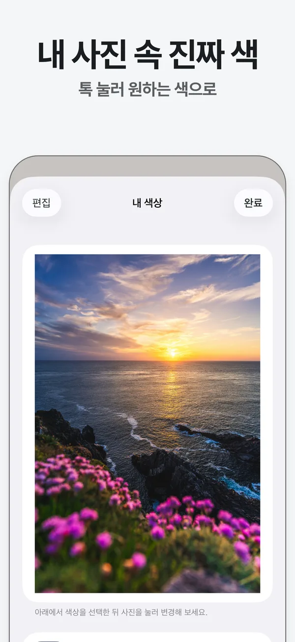 사진에서 뽑은 색 다섯 가지 중 하나를 고르고 색상 코드를 보여 주는 화면